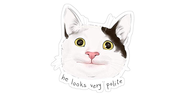 polite cat