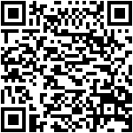 QR Preview