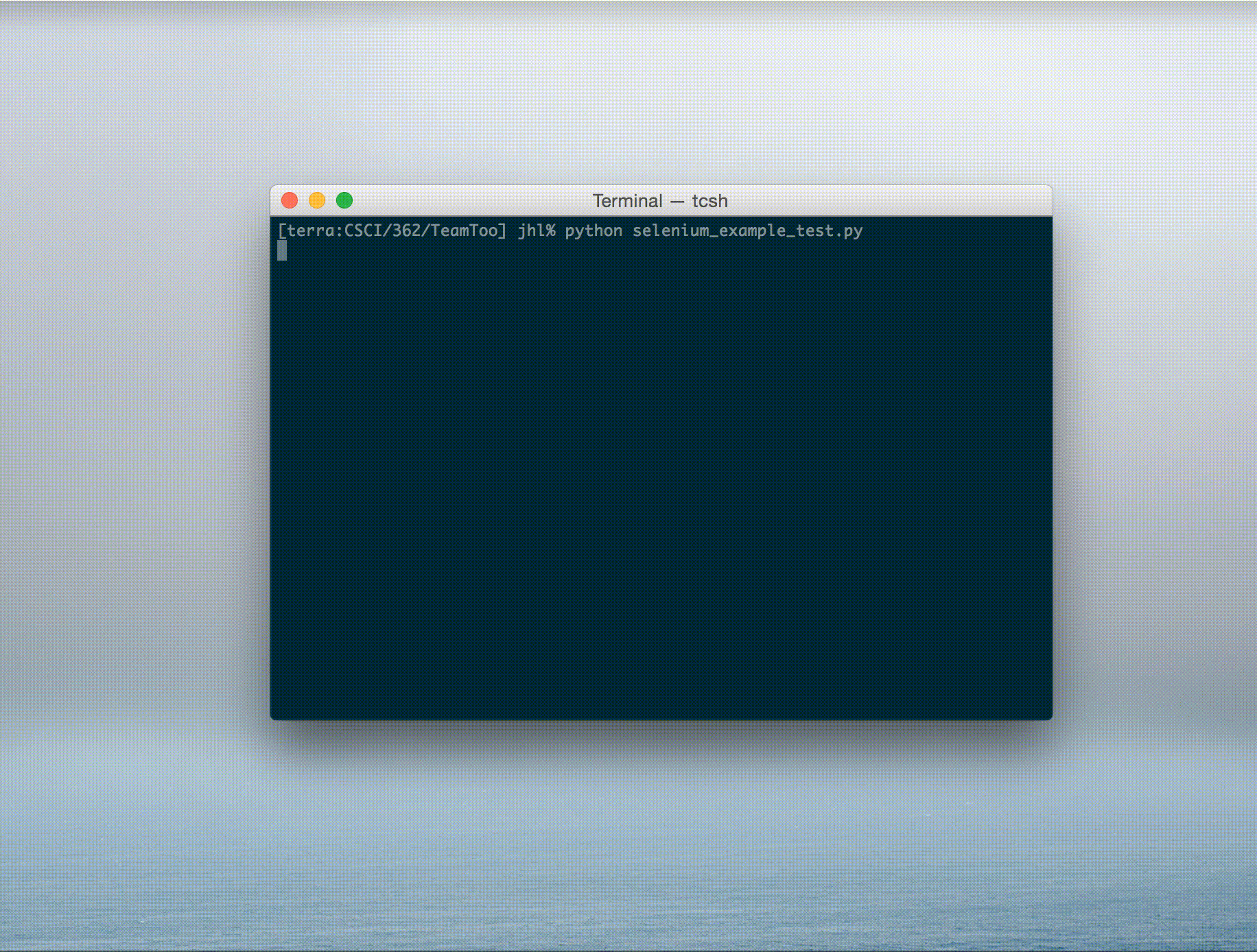 Selenium test example