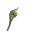 druidic poison staff