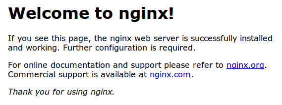 NGINX 초기화면