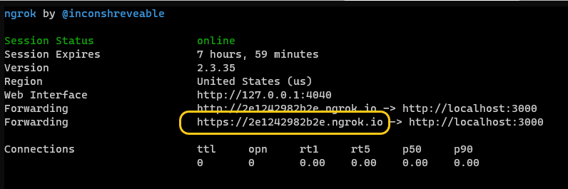 ngrok-dns