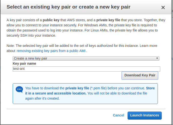  Start Ant Media Server Single Instance on AWS