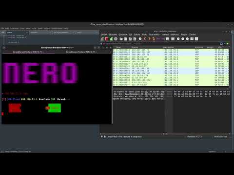Project Demo Video