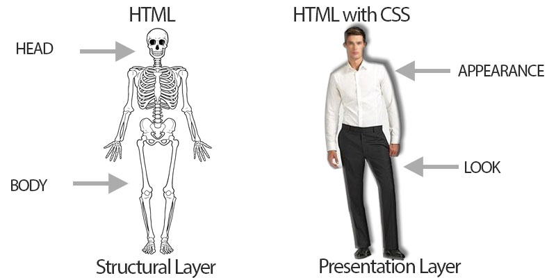 CSS Nedir