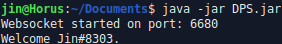 Screenshot of the DPS console greeting me after a successfully websocket connection has been established.