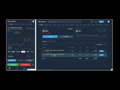 Polymarket Trading Bot Demo