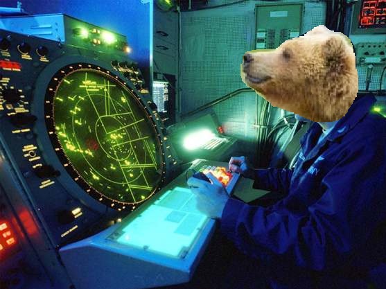 Bear Traffic Controller