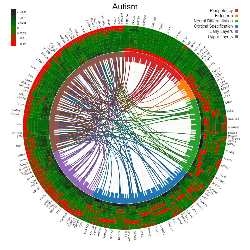 Autism Example