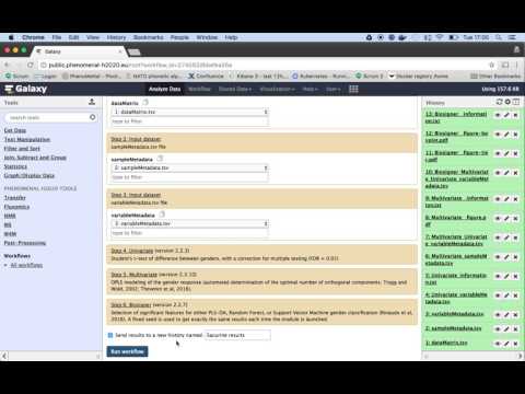 load and run the workflow