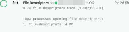 file-descriptors