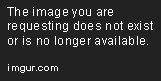 Git Shell