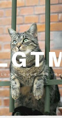 LGTM