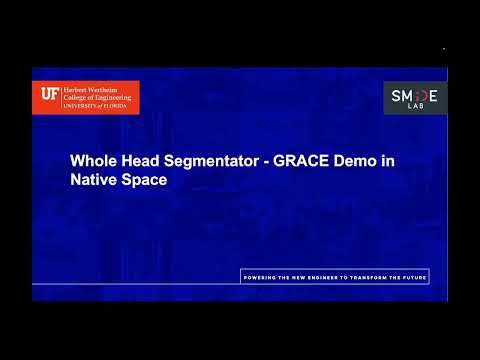 Whole Head Segmentator - GRACE Demo