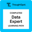 Data Expert