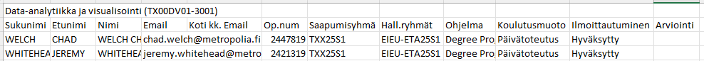 Excel file format