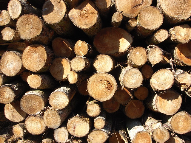 Logs - http://www.flickr.com/photos/crawshawt/4636162605/