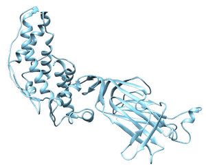 6272pdb