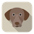 Dog 60