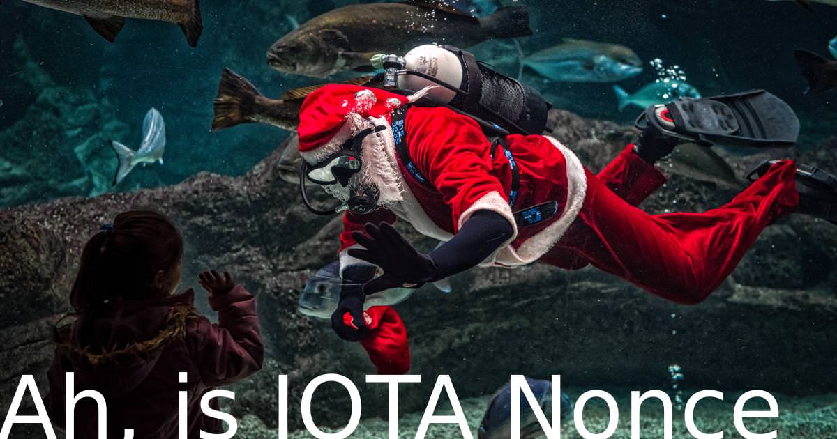 Photo by GEORGE DESIPRIS from Pexels https://www.pexels.com/photo/man-in-santa-claus-costume-with-diving-gear-inside-aquarium-731141/