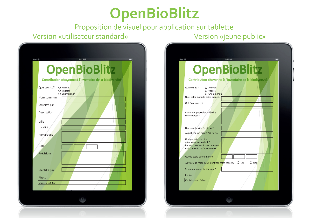 Exemple d'interface du formaulaire