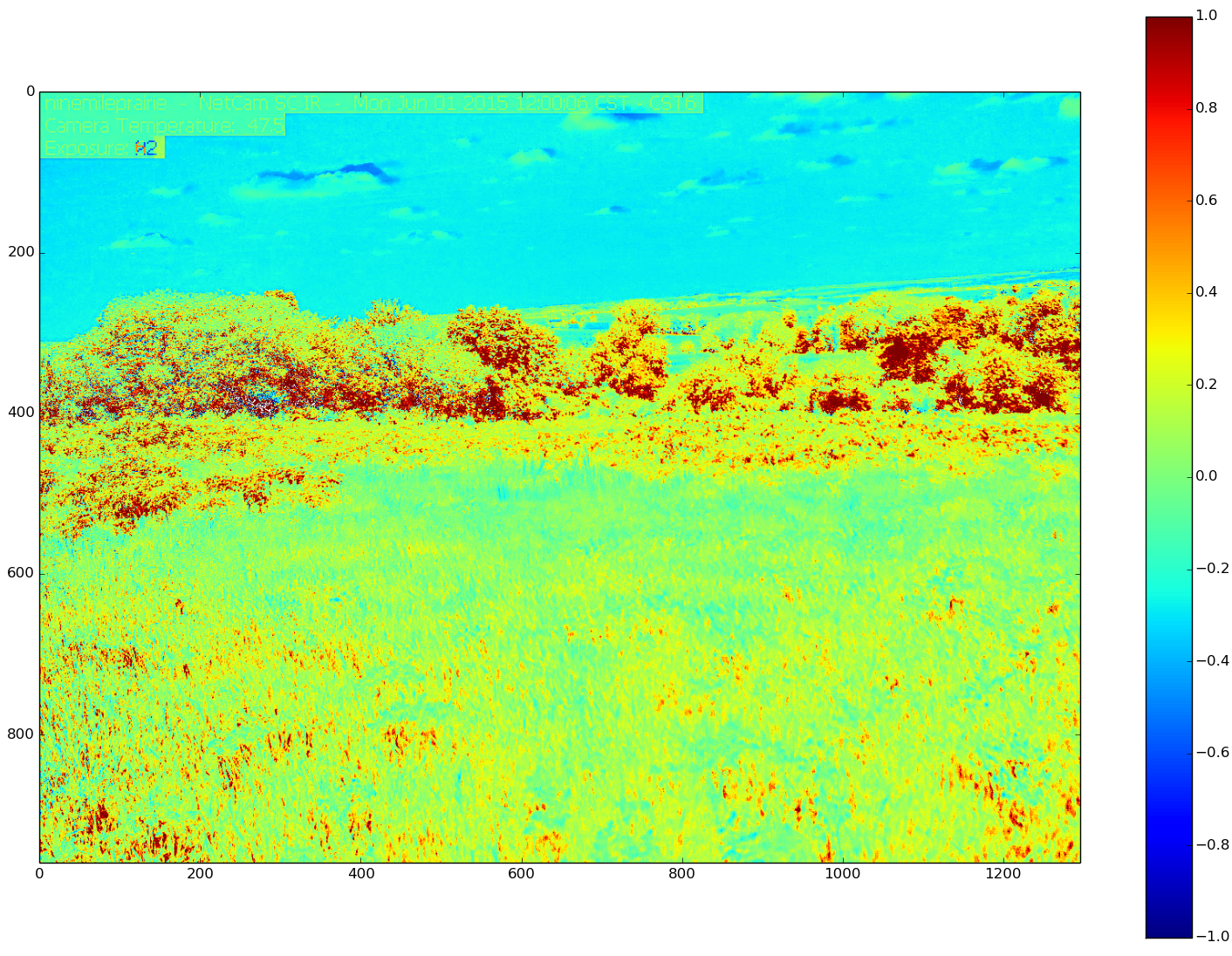 NDVI Image