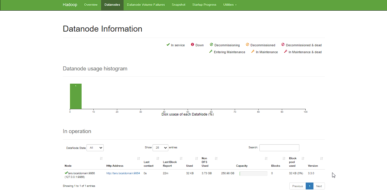 Datanodes Web UI