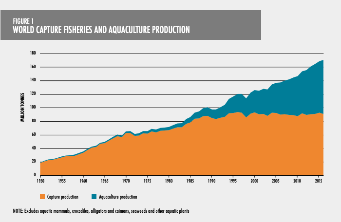 World Capture Fisheries and Aquaculture Production