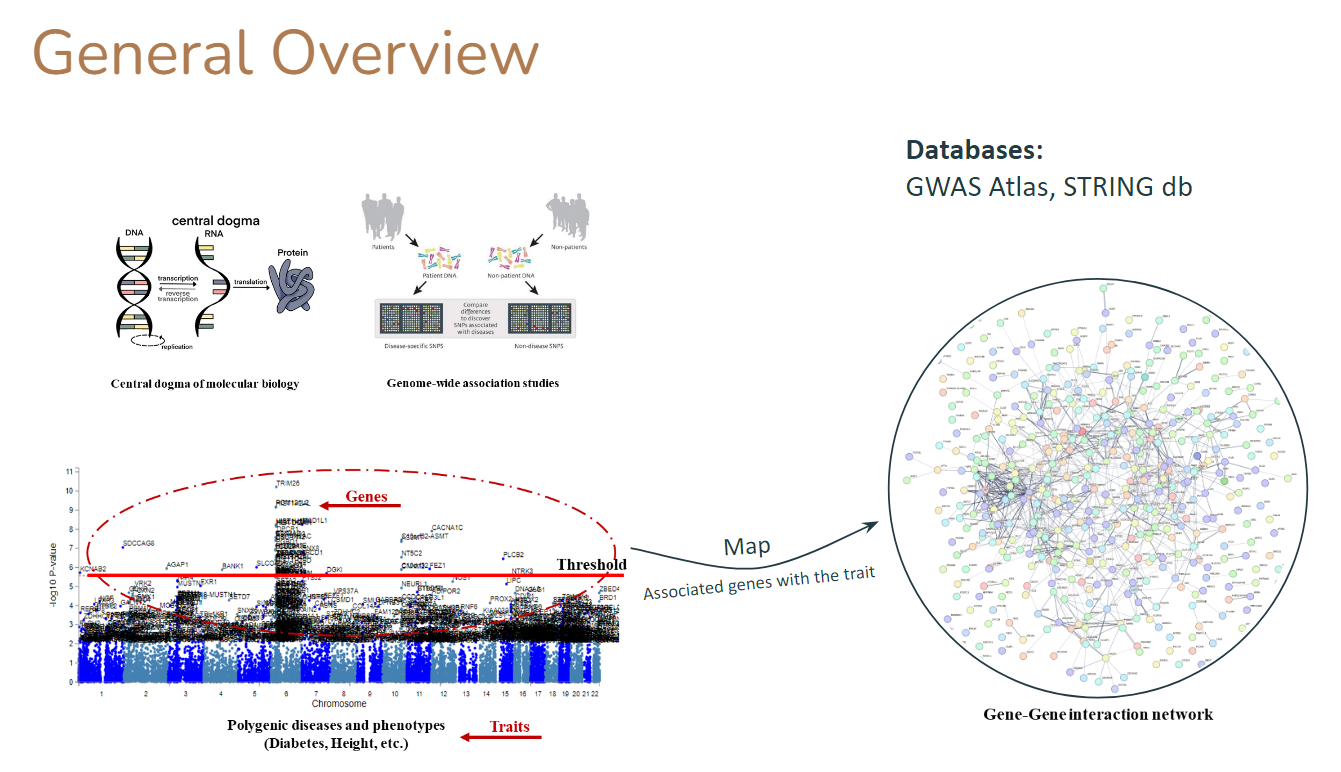 Associated Gene-Gene Interaction Network