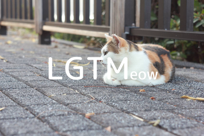 LGTMeow