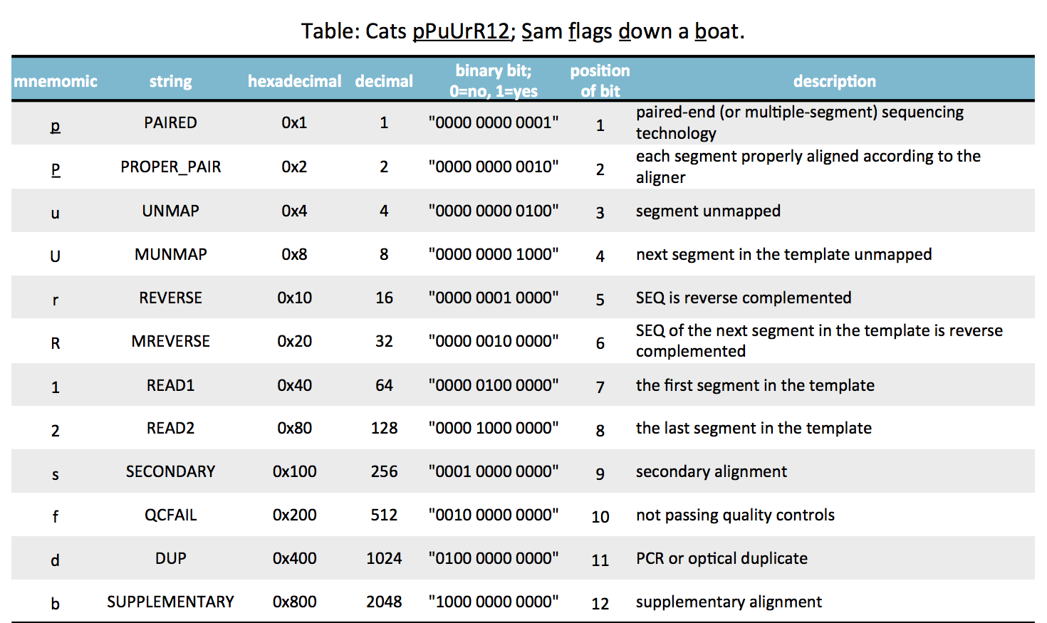 sam flags