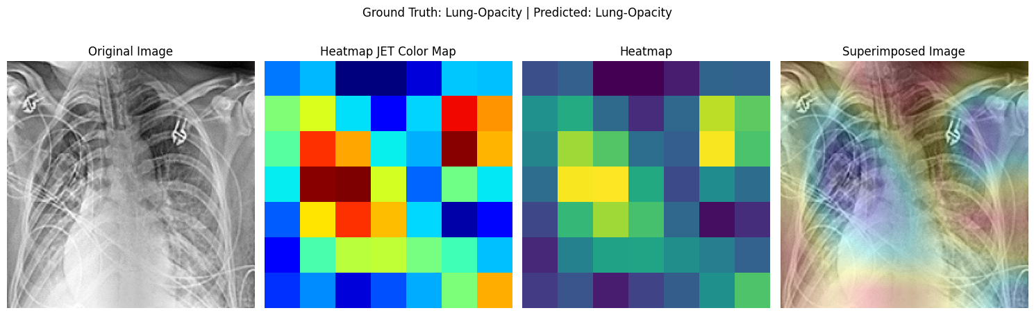 Activation Map Visualisation