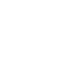 Anonymous Axolotl         