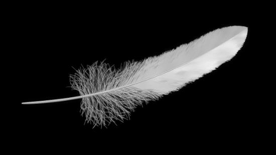 Feather Render