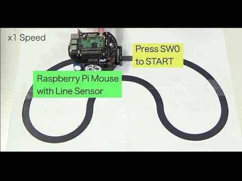 Raspberry Pi Mouse Line Follower - YouTube