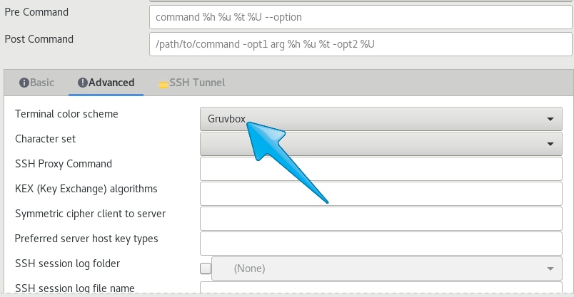 Chossing a colour scheme in the Remmina SSH profile