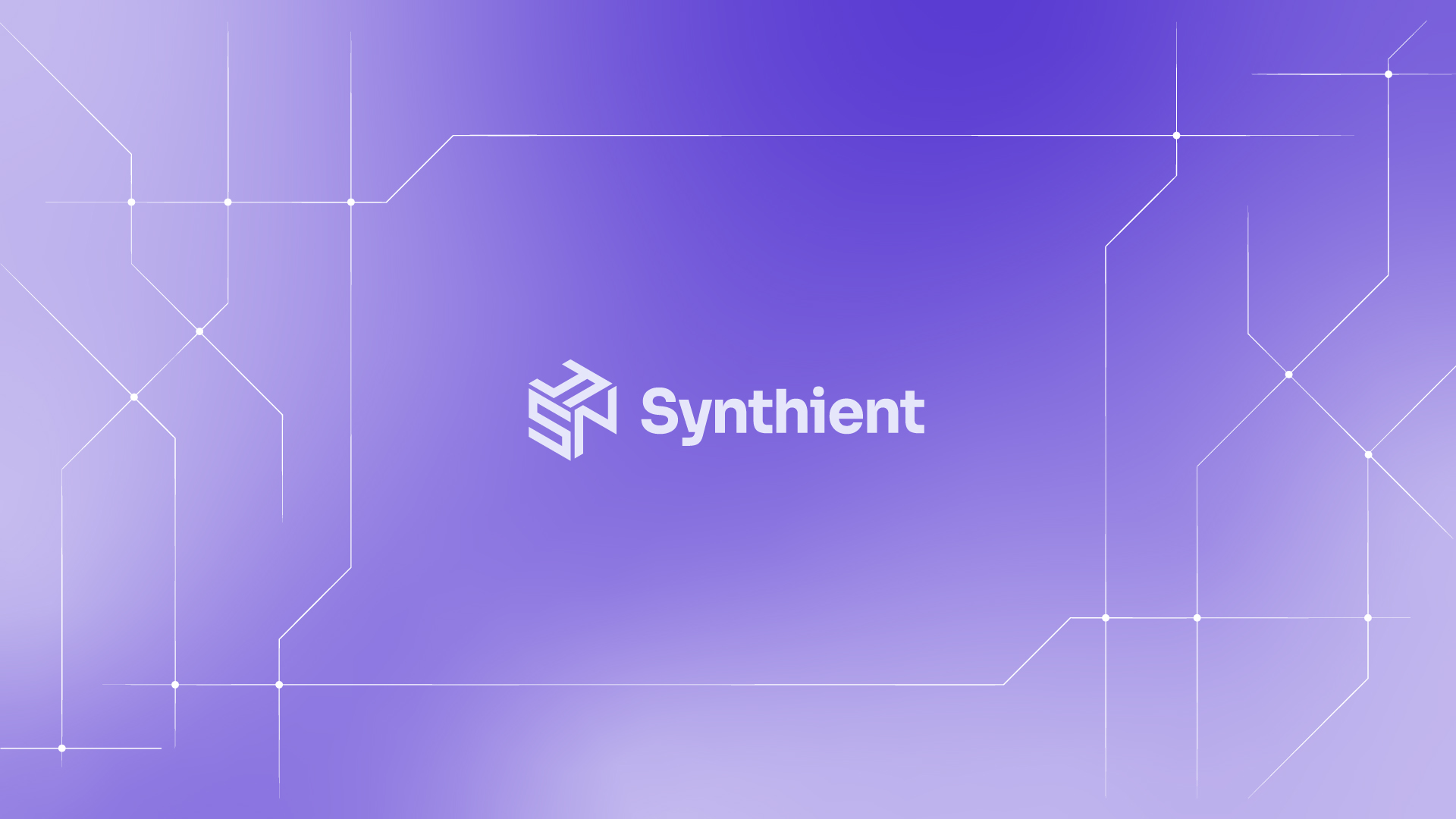 Synthient Banner