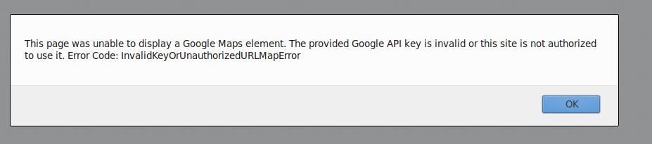 API Error Example