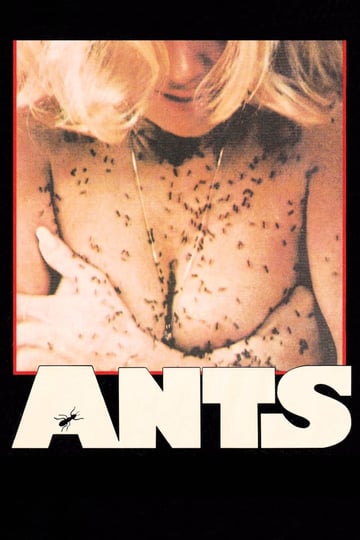 ants-722528-1