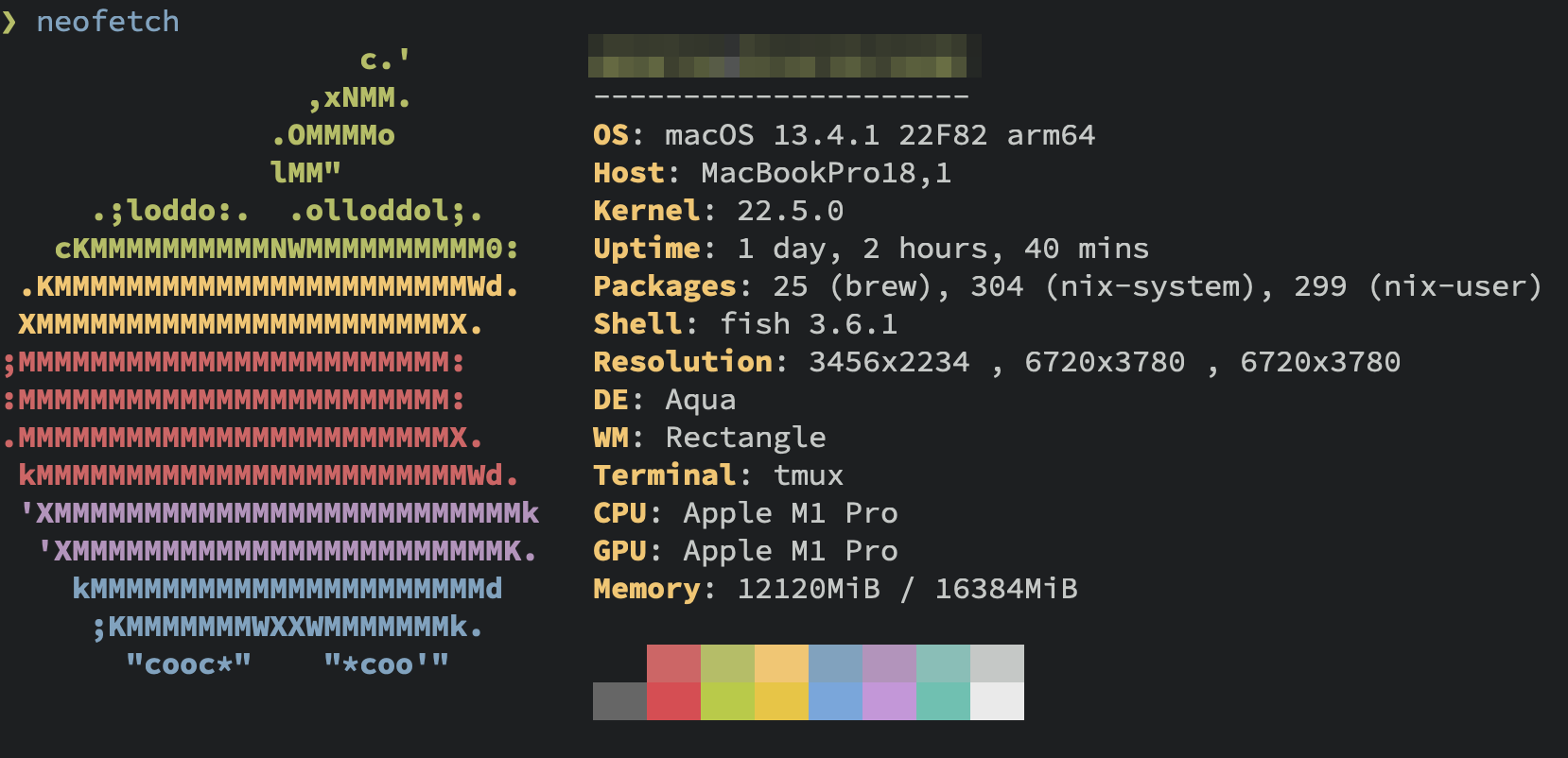 neofetch screenshot