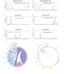 Examples of ocean-specific correlated profiles