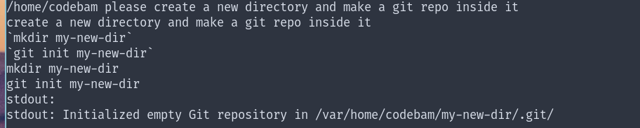 terminal showing creating a new git repo using please