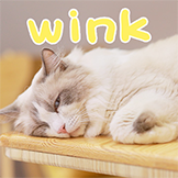 猫不理咖啡-wink