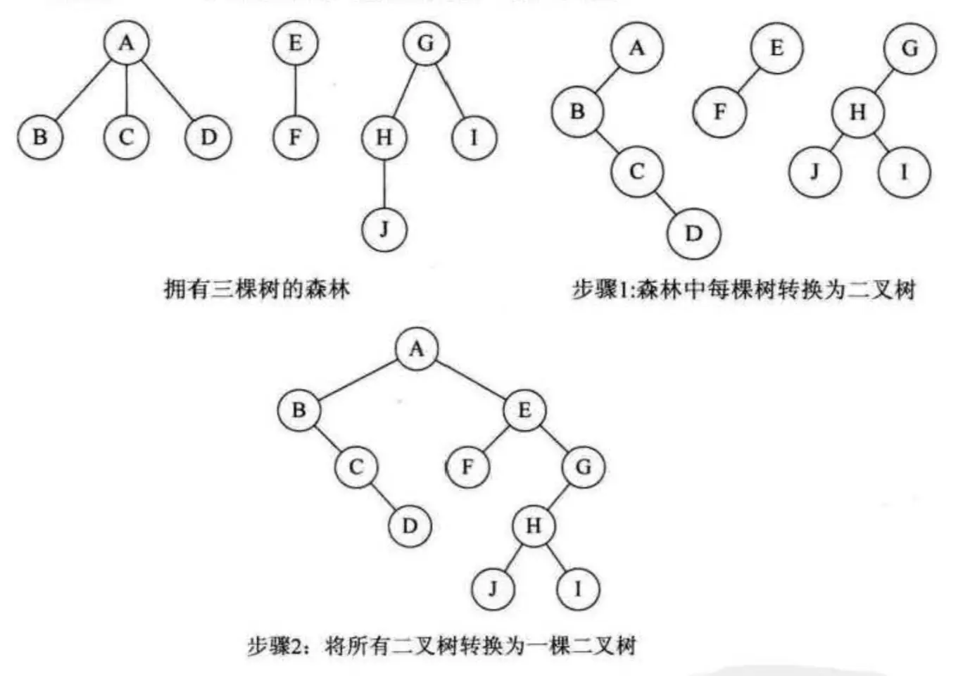 森林 -> 二叉树