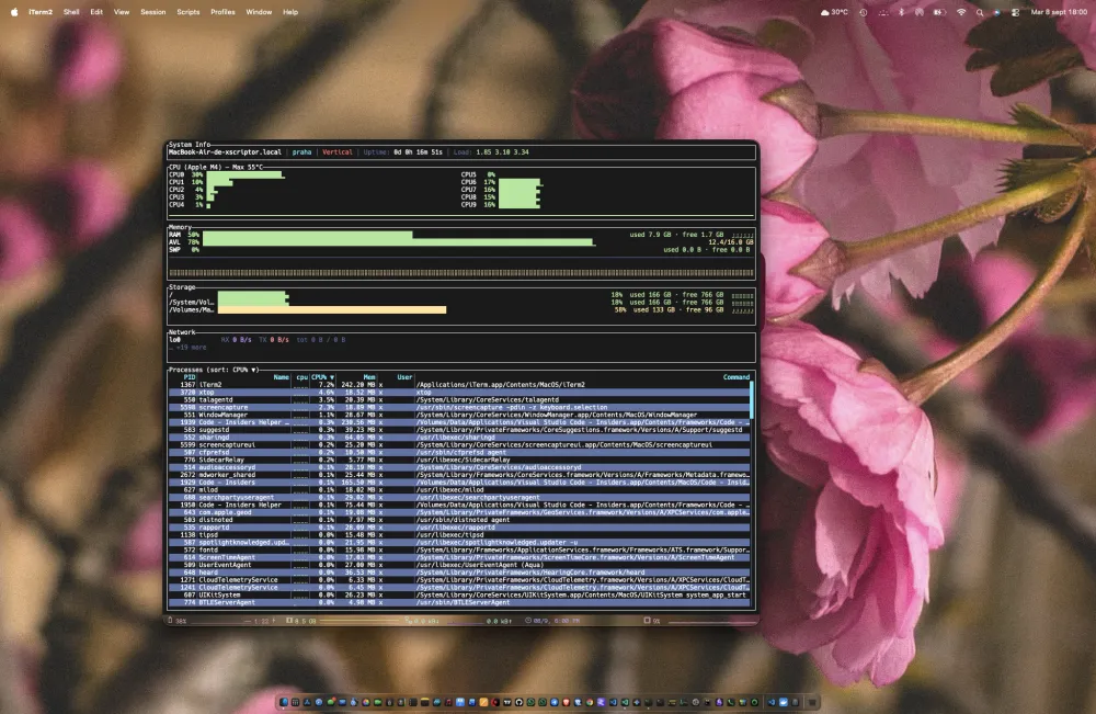 Main preview