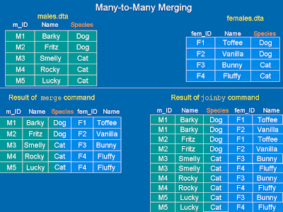 Merge Joinby