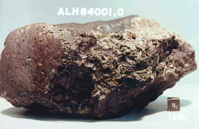 Martian meteorite ALH 84001