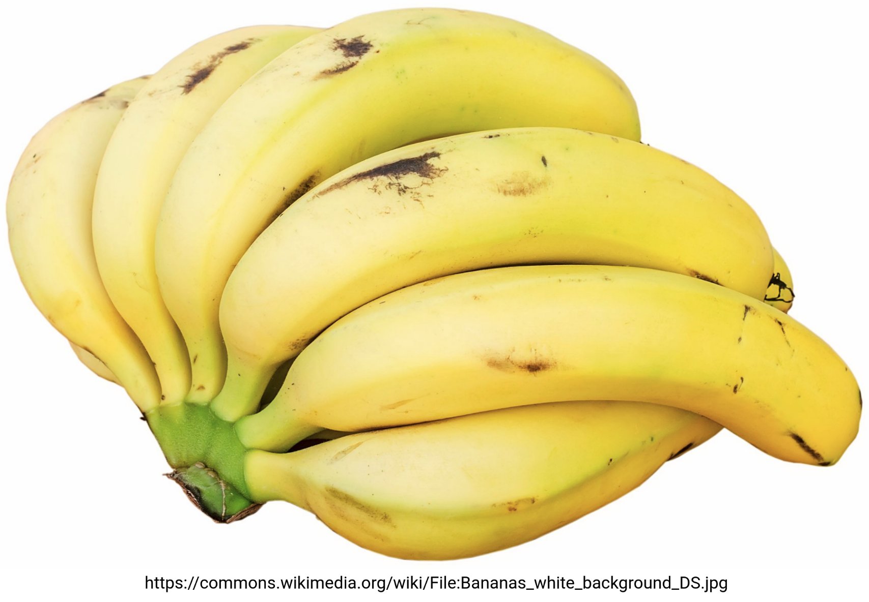 Regulation of proanthocyanidin biosynthesis in banana (Tweet #65)