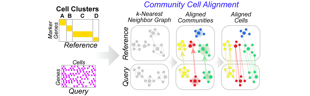 cellHarmony workflow