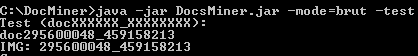 DocsMinerTest